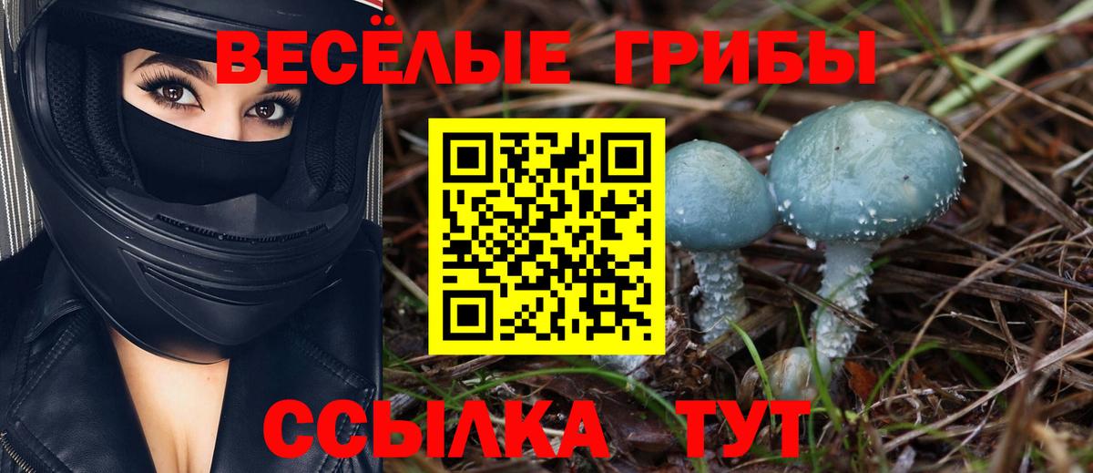  Cocaine Северобайкальск