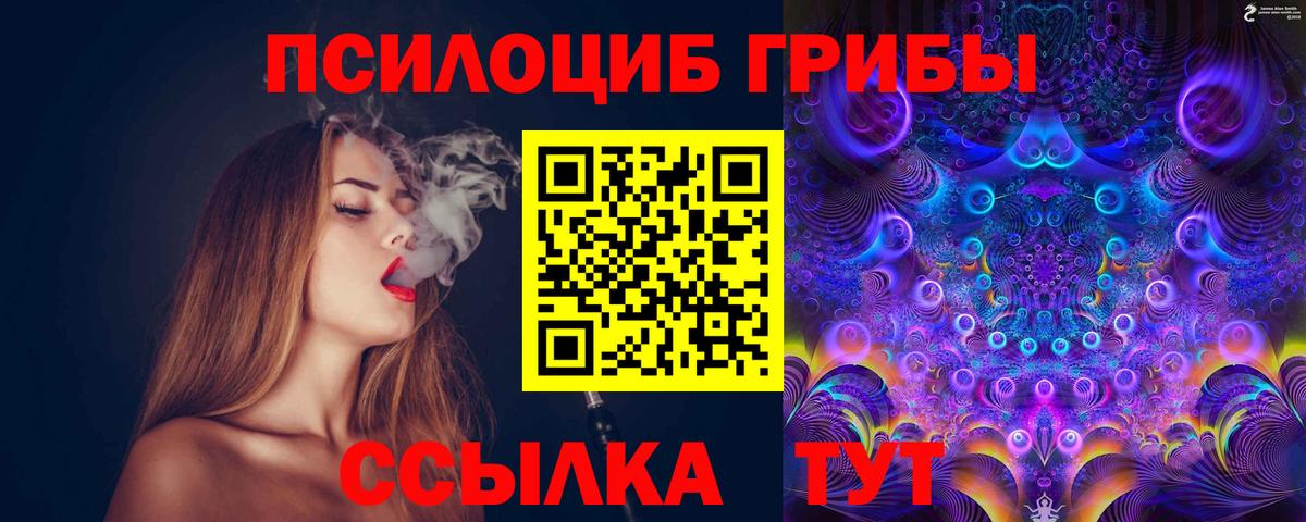 Псилоцибиновые грибы Magic Shrooms Северобайкальск