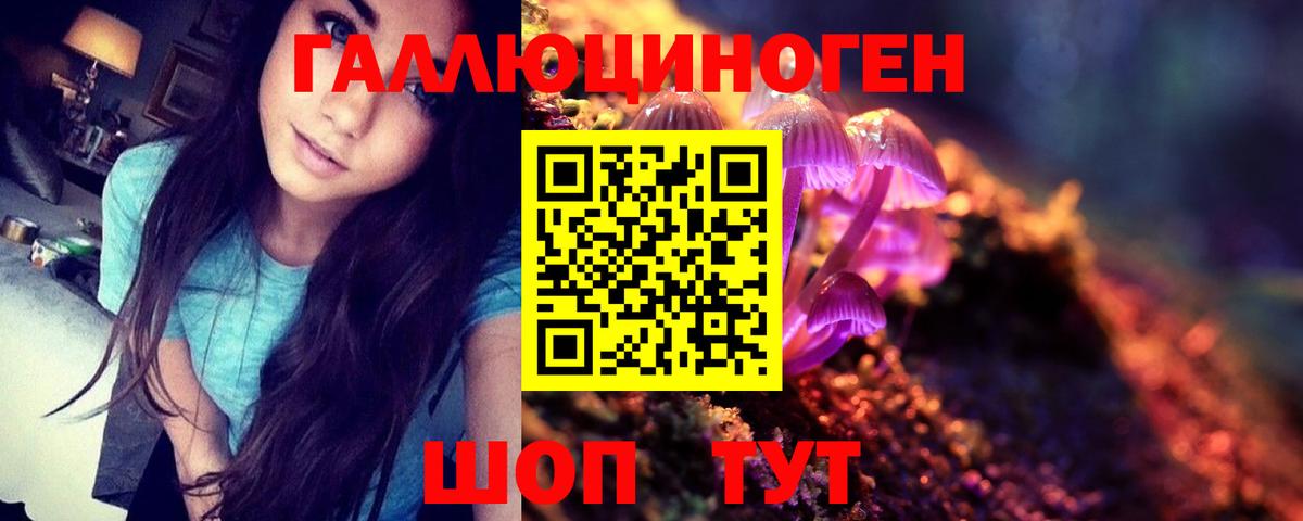Северобайкальск  закладки  Вход с VPN  Галлюциногенные грибы Psilocybine cubensis 